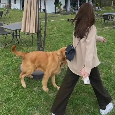 画江湖之不良人